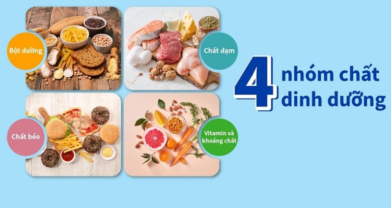 4 nhóm thực phẩm thiết yếu cho một cơ thể khỏe mạnh