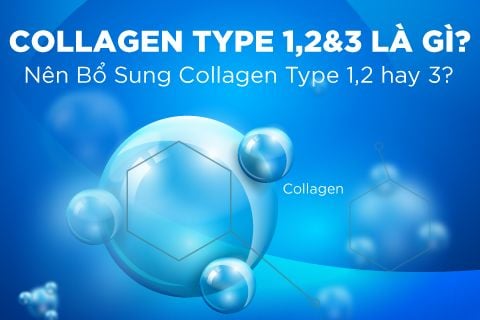 Collagen type 1,2&3 là gì? Nên sử dụng loại nào thì tốt cho cơ thể ...