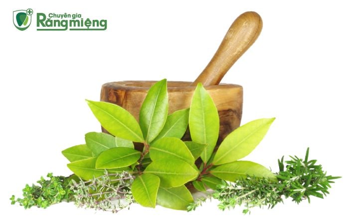 Review 8 Loại Nước Súc Miệng Thảo Dược Tốt Nhất Hiện Nay