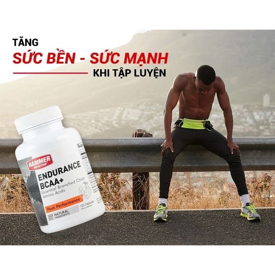 Viên Uống Tăng Sức Bền Hammer Nutrition Endurance BCAA+– Thế Giới ...