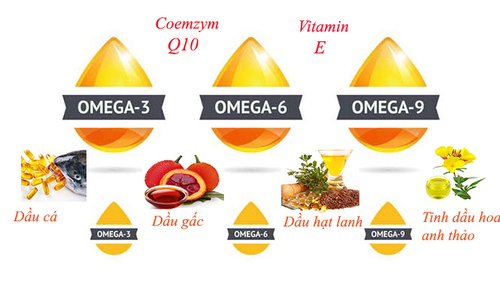 CƠ THỂ CON NGƯỜI CẦN BỔ SUNG OMEGA 3. Vậy Dầu cá Omega 3 có tác ...