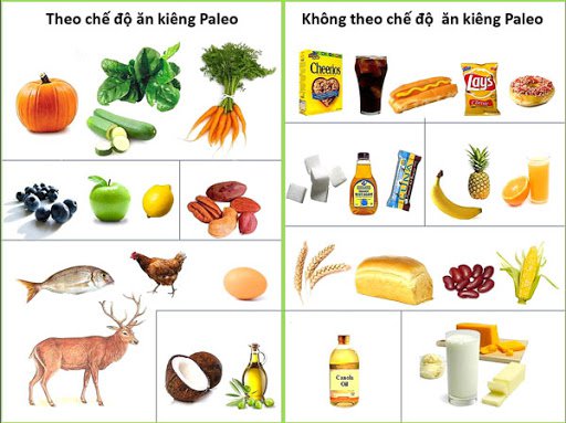 Chế độ ăn kiêng Paleo – iOrganic - Trusted Health & Wellness ...