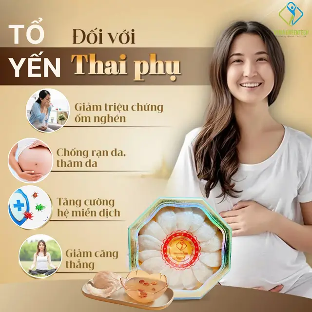 Yến Sào Khánh Hoà Siêu Thực Phẩm Dinh Dưỡng Cho Bà Bầu| Yến sào ...