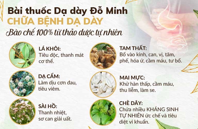 Dạ dày Đỗ Minh - Bài thuốc Đông y chữa các bệnh về dạ dày hiệu quả ...