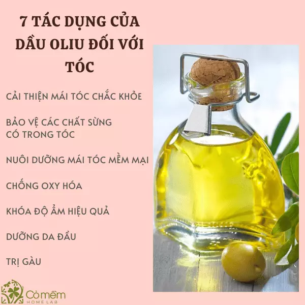 Dầu ô liu dưỡng tóc- #09 Mẹo chăm sóc SỐ 1 với dầu ô liu