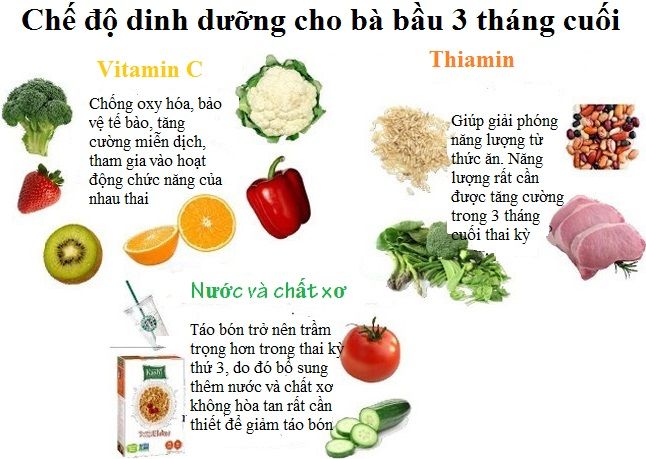 Chế độ dinh dưỡng cho bà bầu 3 tháng cuối