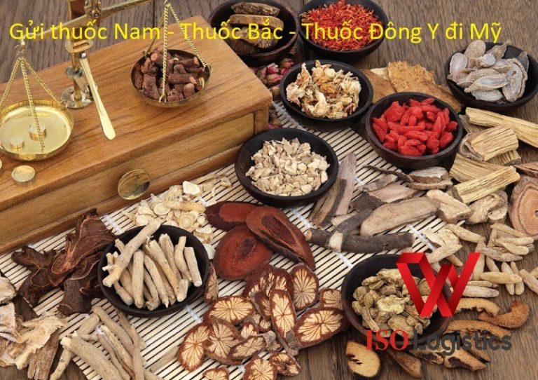 Gửi thuốc Nam đi Mỹ | Giá cước vận chuyển thuốc Bắc - Đông Y