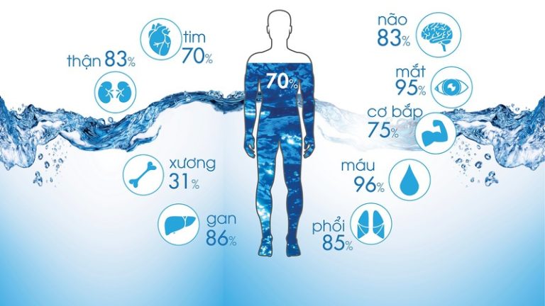 Hydrat hoá là gì? Cơ chế hydrat hoá tế bào là gì?