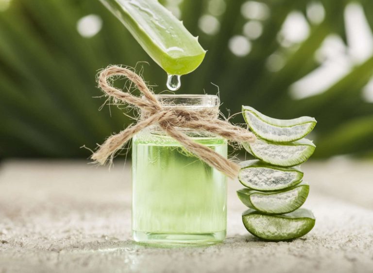 Hướng dẫn cách trị hết mụn trứng cá bằng nha đam hiệu quả