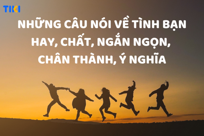 Những Câu Nói Hay Về Tình Bạn Tri Kỷ, Chân Thành, Ngắn Gọn, Hay ...