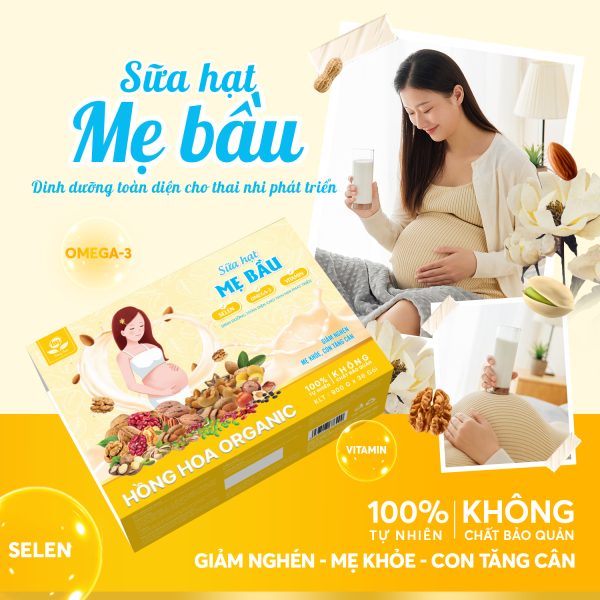 Sữa hạt dinh dưỡng cho phụ nữ mang thai - Sữa hạt mẹ bầu cao cấp ...