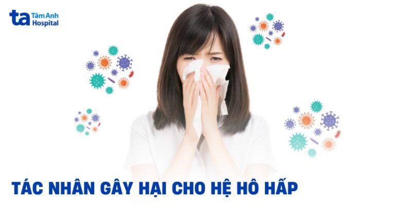 6 tác nhân gây hại cho hệ hô hấp có thể bạn chưa biết