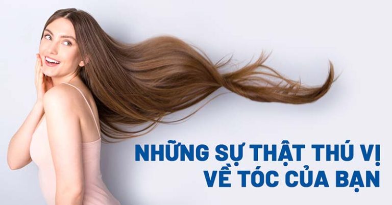 Tóc là gì? Cấu tạo và 6 điều thú vị về tóc của bạn