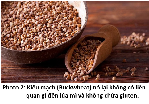 05. Gạo Lúa Kiều mạch - Buckwheat Rice – Song ngữ - EVDHamma.org