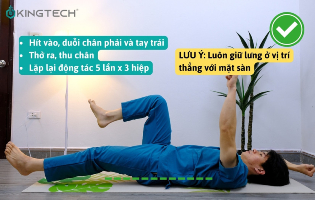 Bài tập hỗ trợ sửa tình trạng võng lưng hiệu quả 2024