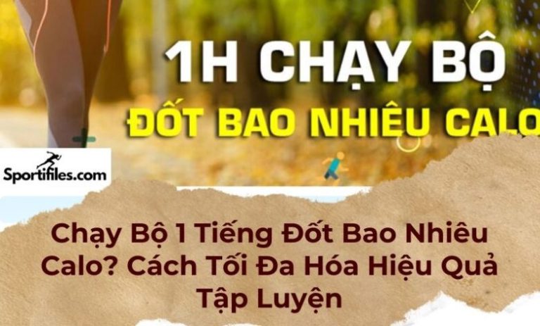 Chạy Bộ 1 Tiếng Đốt Bao Nhiêu Calo? Cách Tối Đa Hóa Hiệu Quả Tập ...