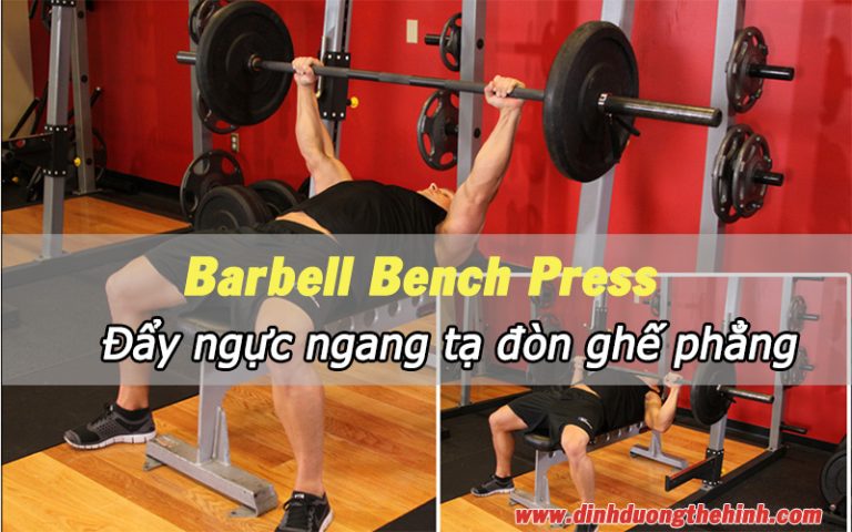 Barbell Bench Press - Bài tập đẩy ngực ngang tạ đòn trên ghế phẳng ...