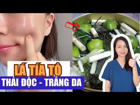 4 cách xông mặt bằng lá tía tô giúp thải độc da, trị mụn, sáng da ...