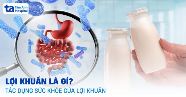 Lợi khuẩn là gì? 6 tác dụng lợi khuẩn đối với sức khỏe con người