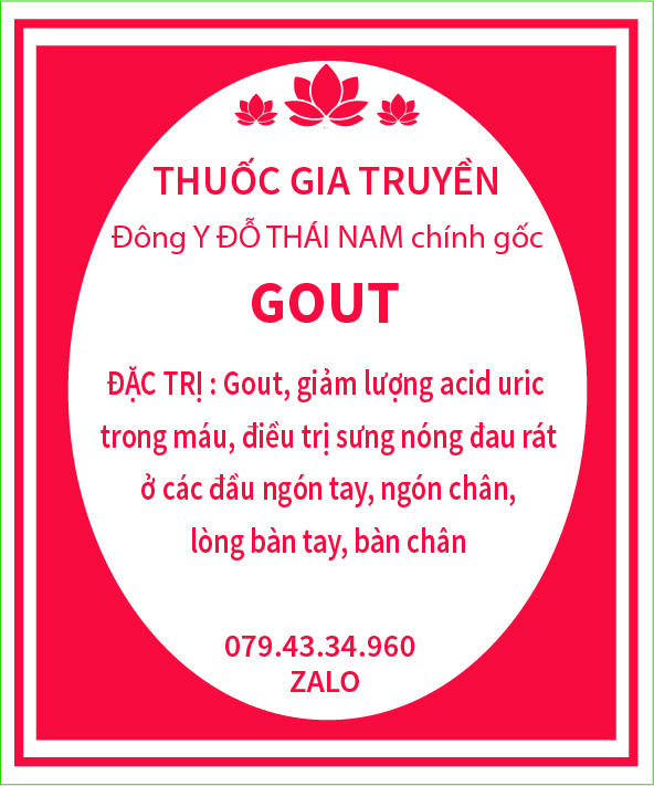 Thuốc đặc trị GOUT dạng viên hoàn - 60 gói - 1 hộp – Đông Y Đỗ ...