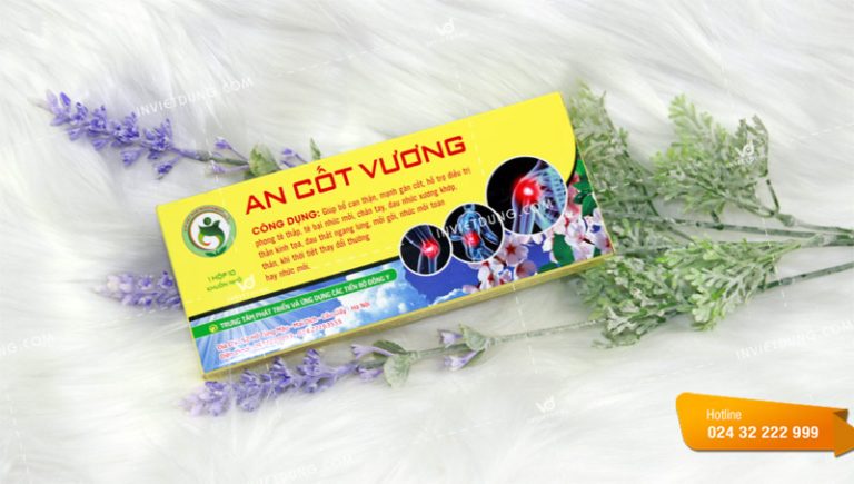 Mẫu hộp đựng thuốc An Cốt Vương chuyên nghiệp và ấn tượng