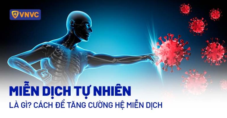 Miễn dịch tự nhiên là gì? Vai trò quan trọng và cách để tăng cường