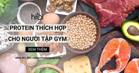 Dinh Dưỡng Thể Hình – Hibi Sports
