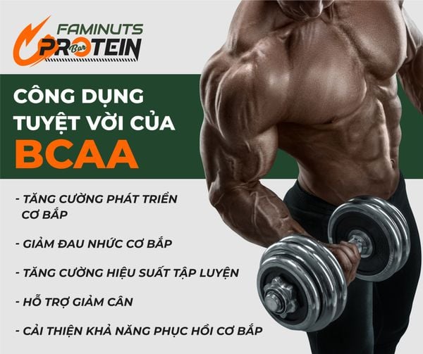 Thực phẩm bổ sung: Thanh hạt Protein vị Chuối hộp giấy 40g (4x10g ...