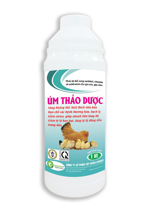 ÚM THẢO DƯỢC