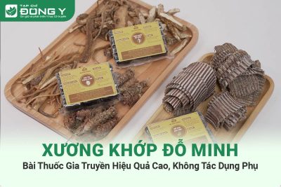 Xương Khớp Đỗ Minh: Bài Thuốc Của Nhà Thuốc Đỗ Minh Đường